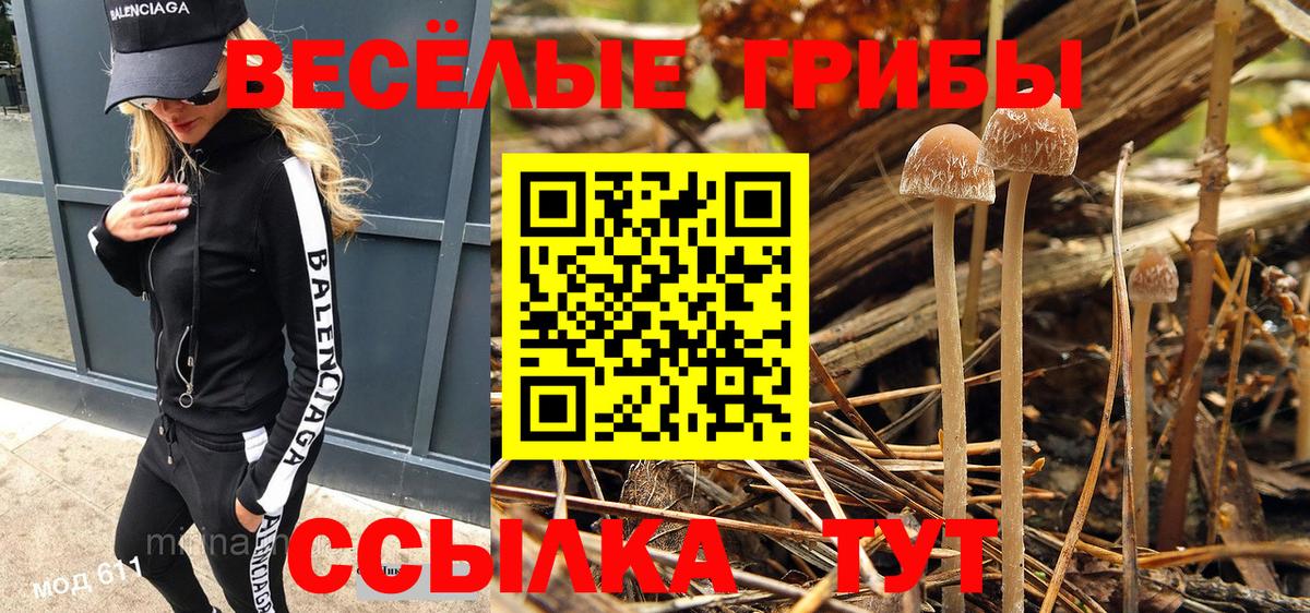Псилоцибиновые грибы Magic Shrooms Мурманск