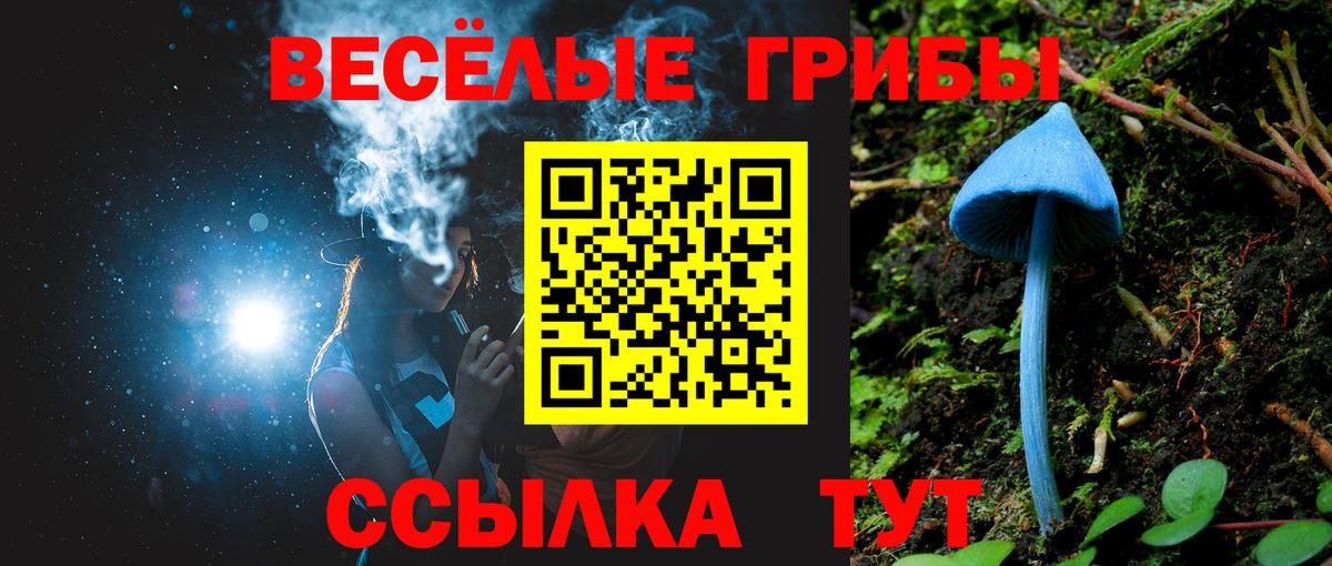 Псилоцибиновые грибы Psilocybe  Вход с VPN  Мурманск 