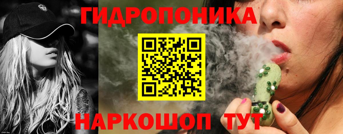 Бошки Шишки гибрид  МАРИХУАНА SATIVA & INDICA  Бошки марихуана VHQ  Вход с VPN  Каннабис ГИДРОПОН  Мурманск 